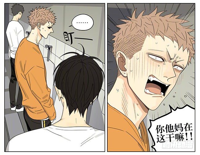 19天漫画,成绩1图