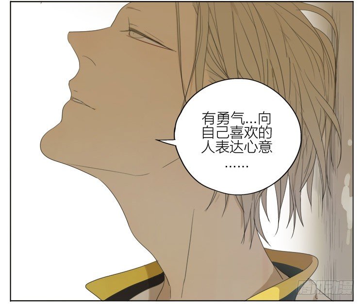 19天漫画,我帮你2图