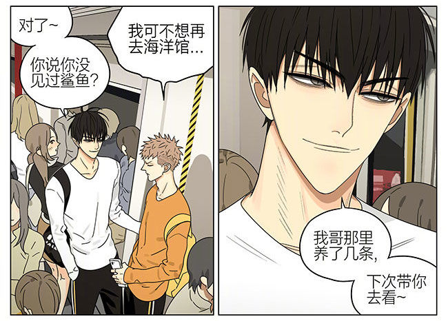 19天漫画,回程2图