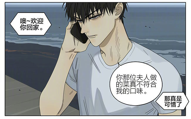 19天漫画,回家2图