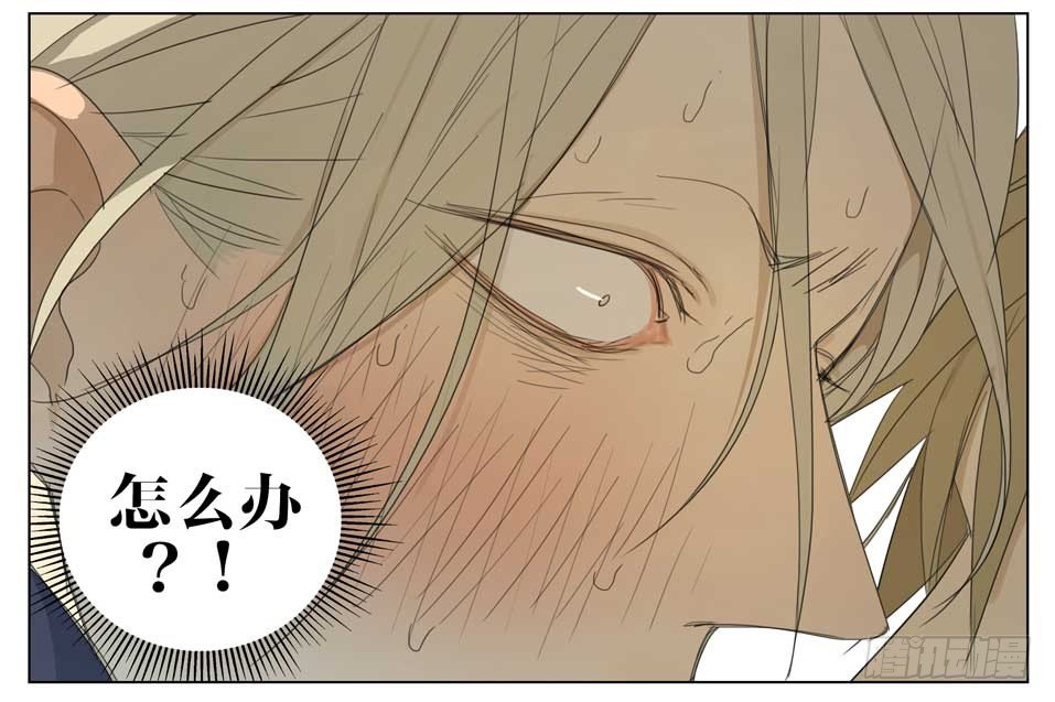 19天漫画,该怎么办？2图