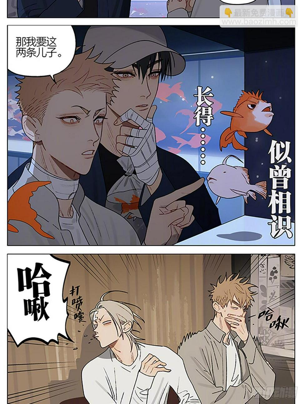 19天漫画,金鱼店2图