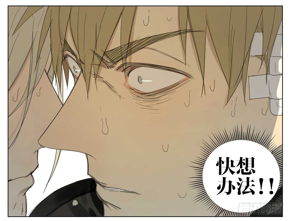 19天漫画,该怎么办？1图