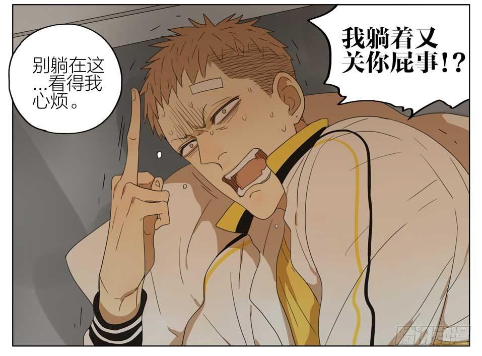 19天漫画,以后听我的1图