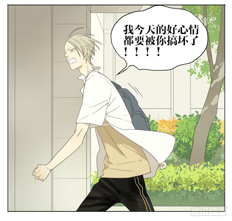 19天漫画,猫怎么叫1图