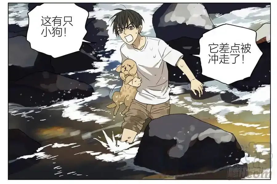 19天漫画,变强 22图
