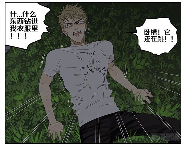 19天漫画,快弄出去1图