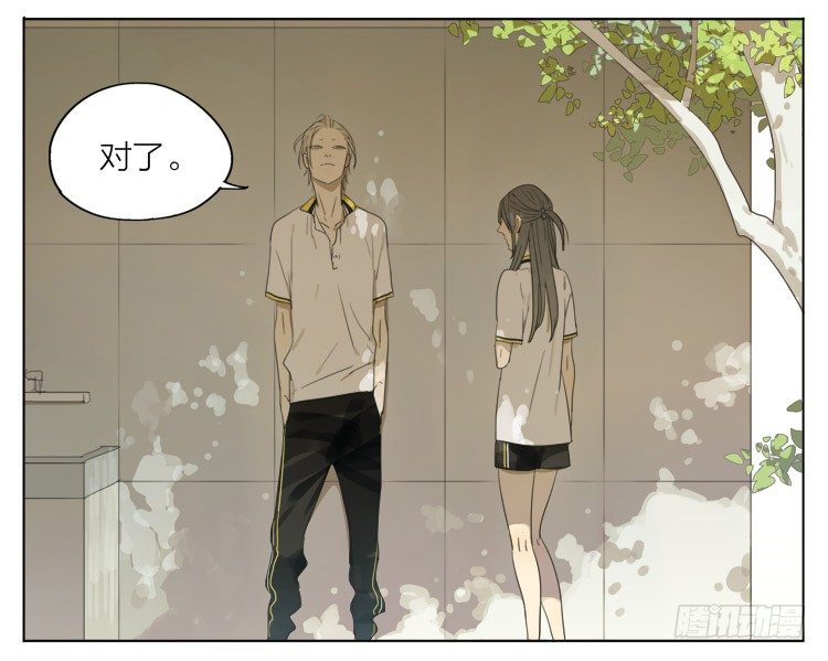 19天漫画,我帮你1图