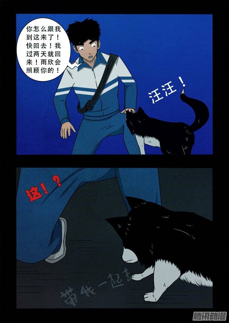 我为苍生全集漫画,鹦鹉大厦 011图