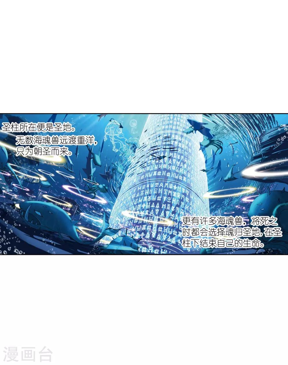 斗罗大陆之堕落的阿银漫画,第637话 绝世魂环12图