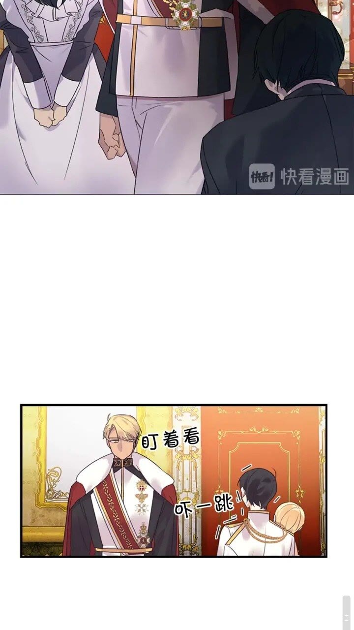 奶萌魔力小公主漫画免费阅读下拉式漫画,第8话 刺杀公主的人都得狗带2图