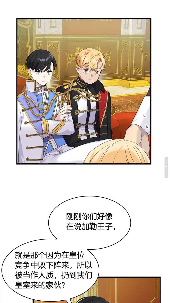 奶萌魔力小公主漫画免费阅读下拉式漫画,第8话 刺杀公主的人都得狗带1图