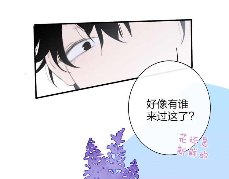 樱花漫画官方正版官网入口漫画,秦小凤篇 后来，我们都长大了1图
