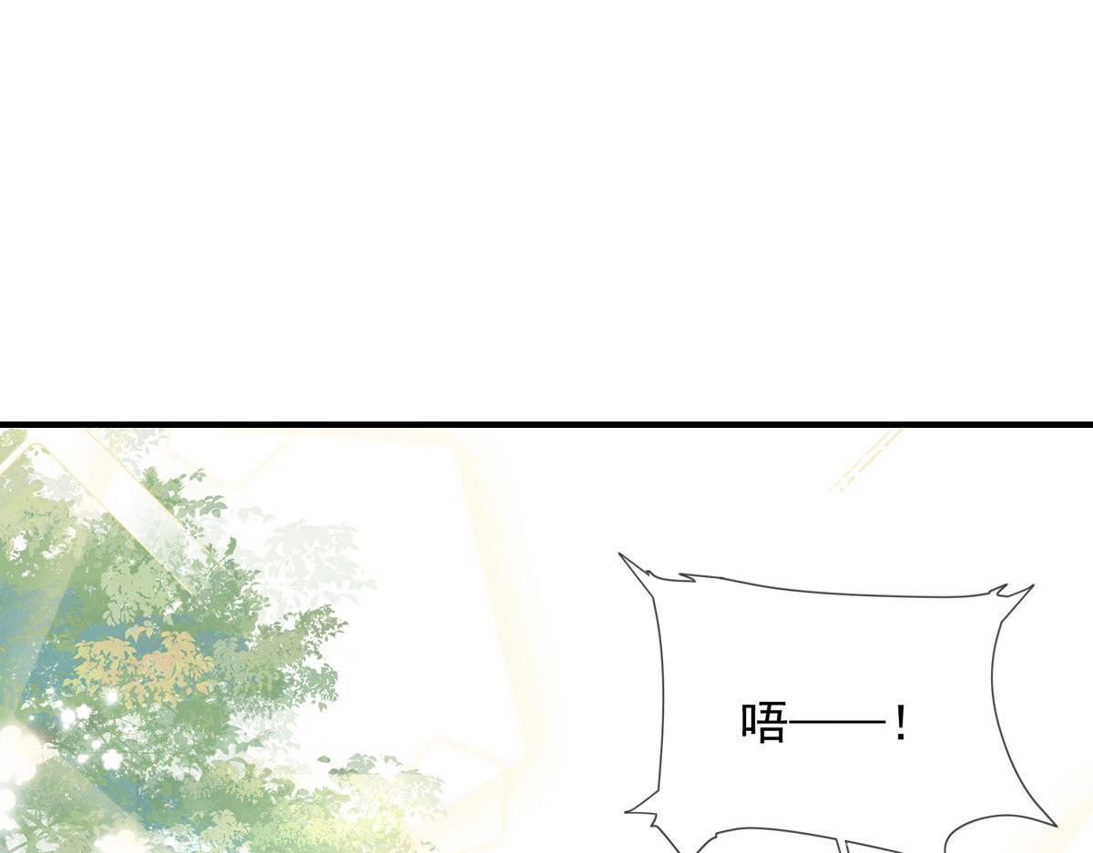 我成了五个大佬的掌心宠漫画,441图