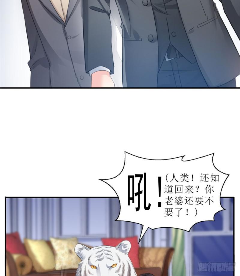 恰似寒光遇骄阳笔趣阁免费阅读漫画,第六十六话 我要富可敌国！2图