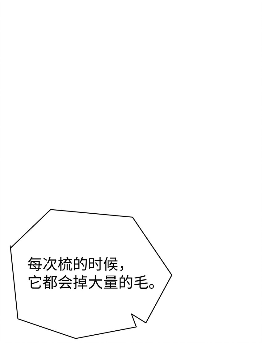 骷髅奶爸漫画,162 特别的外传2图