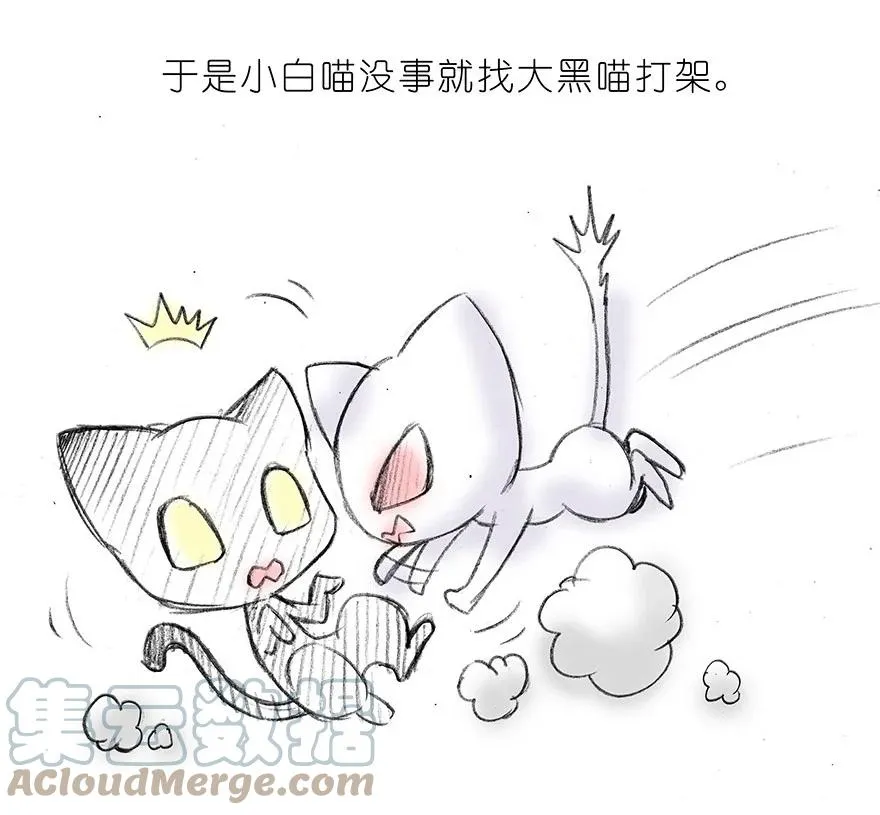 我家大师兄脑子有坑漫画,番外15 飞星喵二1图