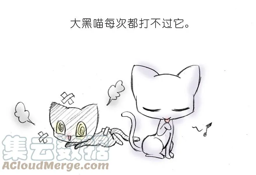 我家大师兄脑子有坑漫画,番外15 飞星喵二2图