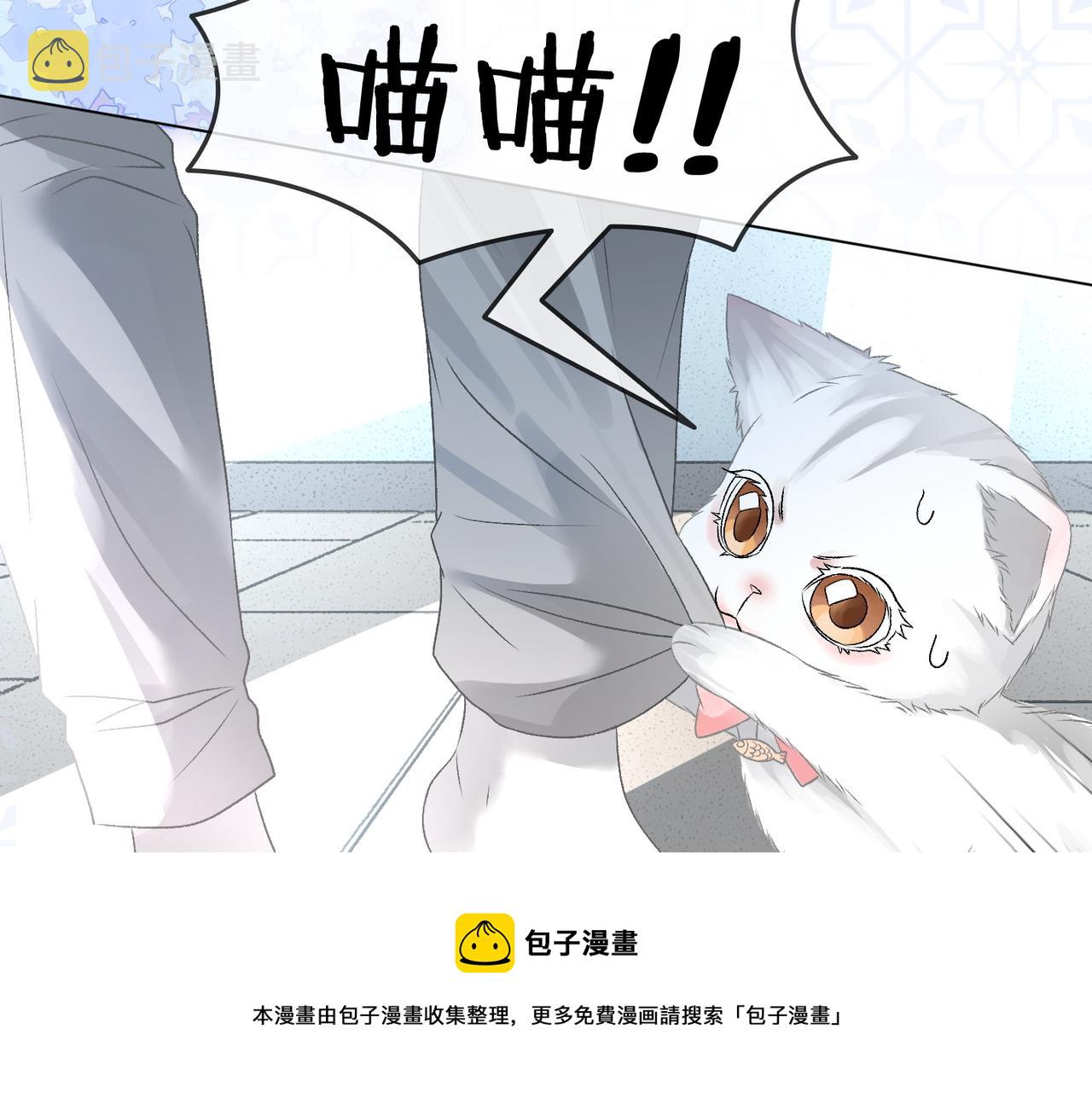 她又又又上热搜啦漫画漫画,第11话 兔兔生病了？！1图