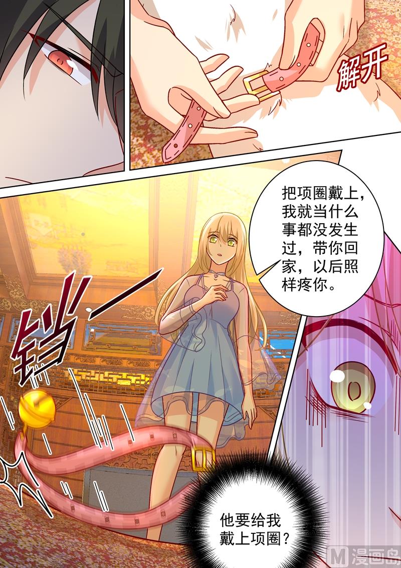 总裁在上我在下电视剧全集免费漫画,第251话 不会选择做一只宠物1图