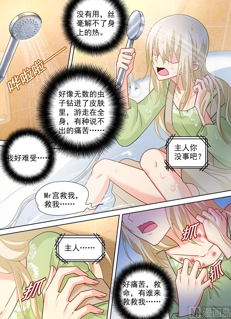 总裁在上小说全文阅读完整版免费漫画,第260话 是他来过吗2图