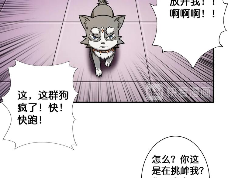 噬神纪漫画最新免费下拉式漫画,第102话 你想变强吗?2图