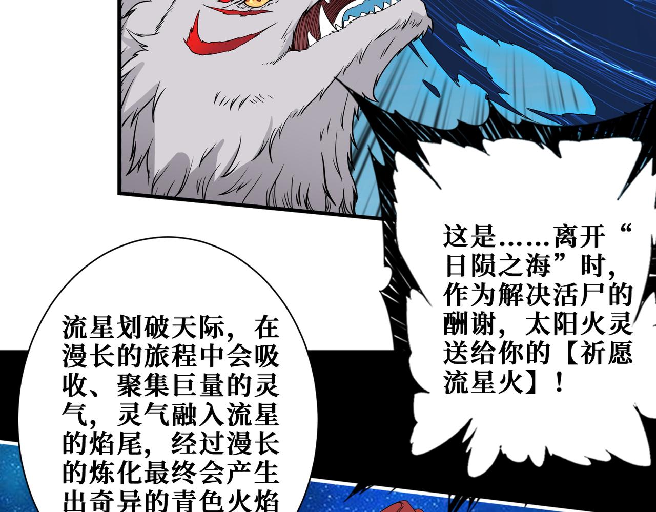 噬神纪免费阅读漫画漫画,第404话 祈愿流星火2图