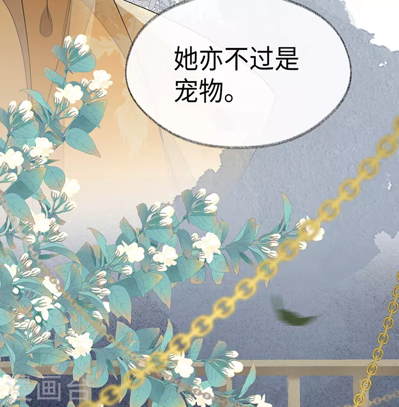 太后裙下臣免费漫画,第104话 暴君之爱1图