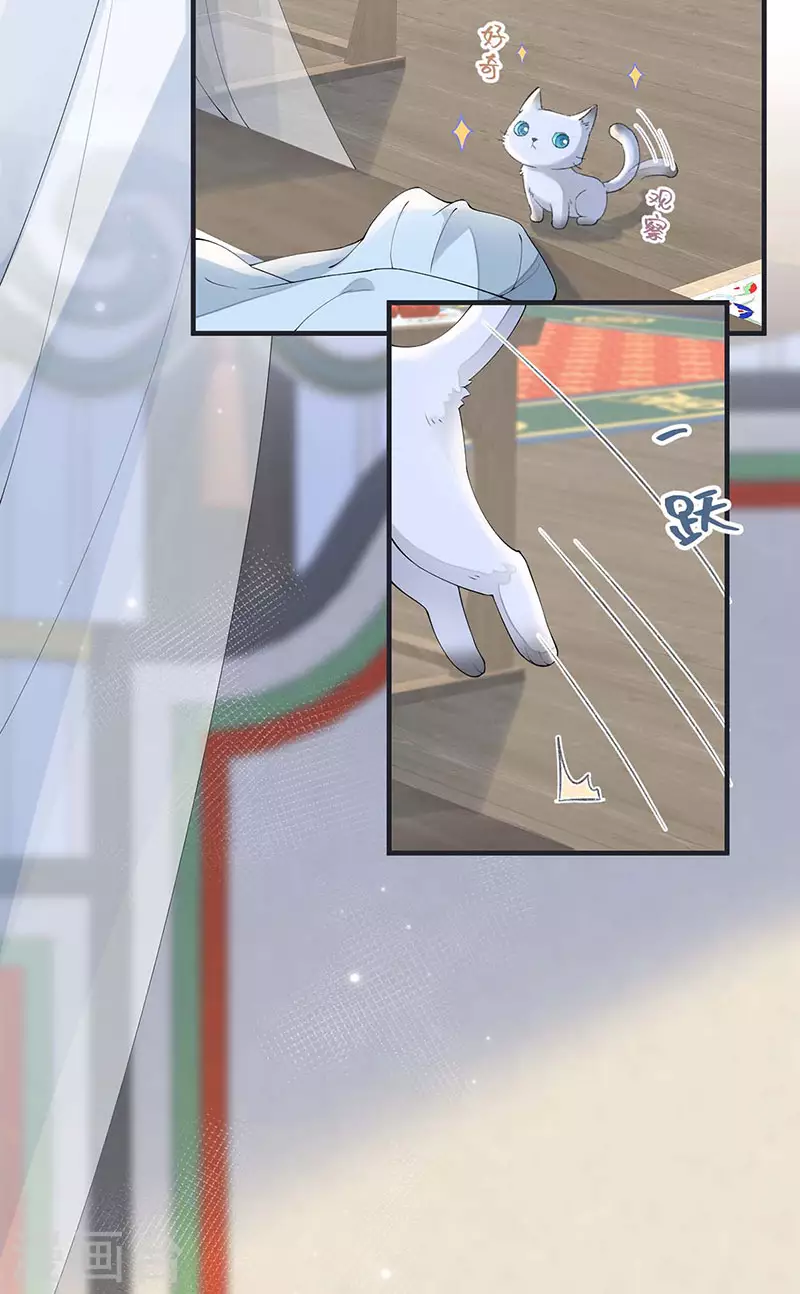 太后裙下臣漫画,第179话猫咪踩奶2图