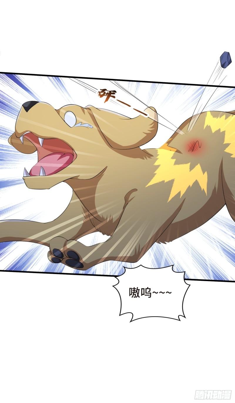 被迫成为反派赘婿第三季在线观看漫画,结实的胸肌2图