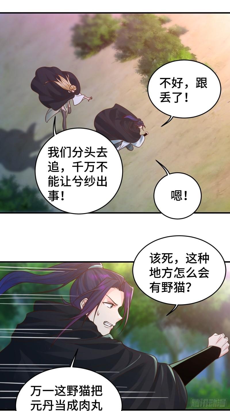 被迫成为反派赘婿第三季在线观看漫画,妖猫夺丹2图