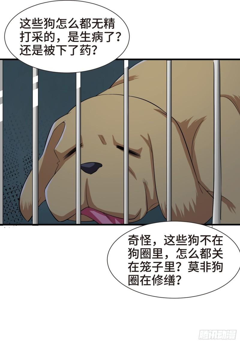 被迫成为反派赘婿第三季在线观看漫画,结实的胸肌1图