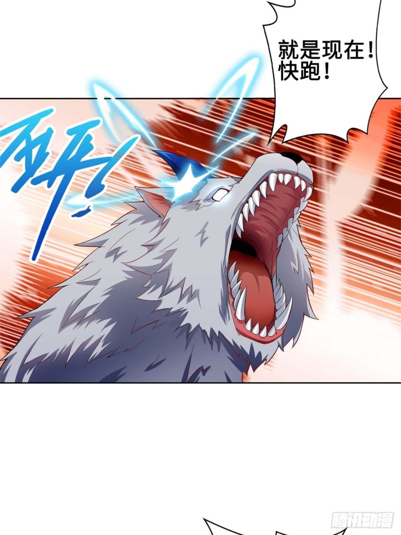 被迫成为反派赘婿第三季在线观看漫画,黄毛鸡血脉1图