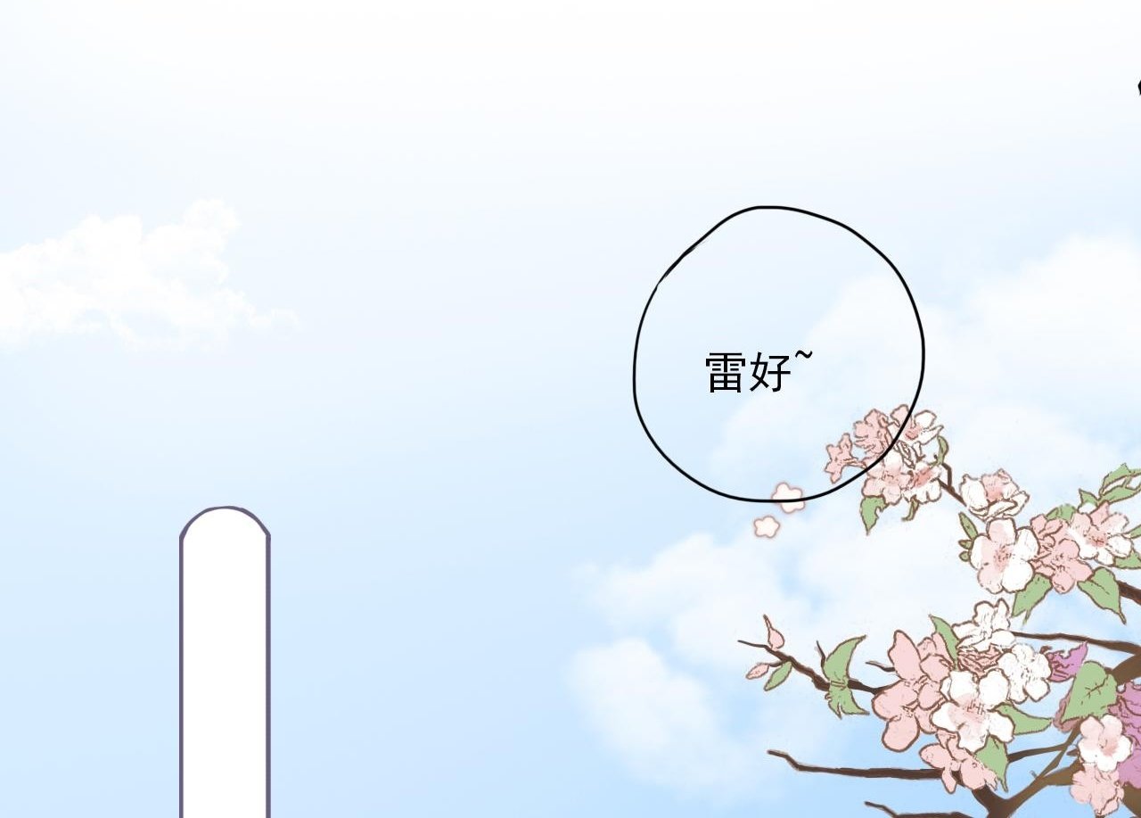 樱花札记漫画简介漫画,第二话  猫出没1图