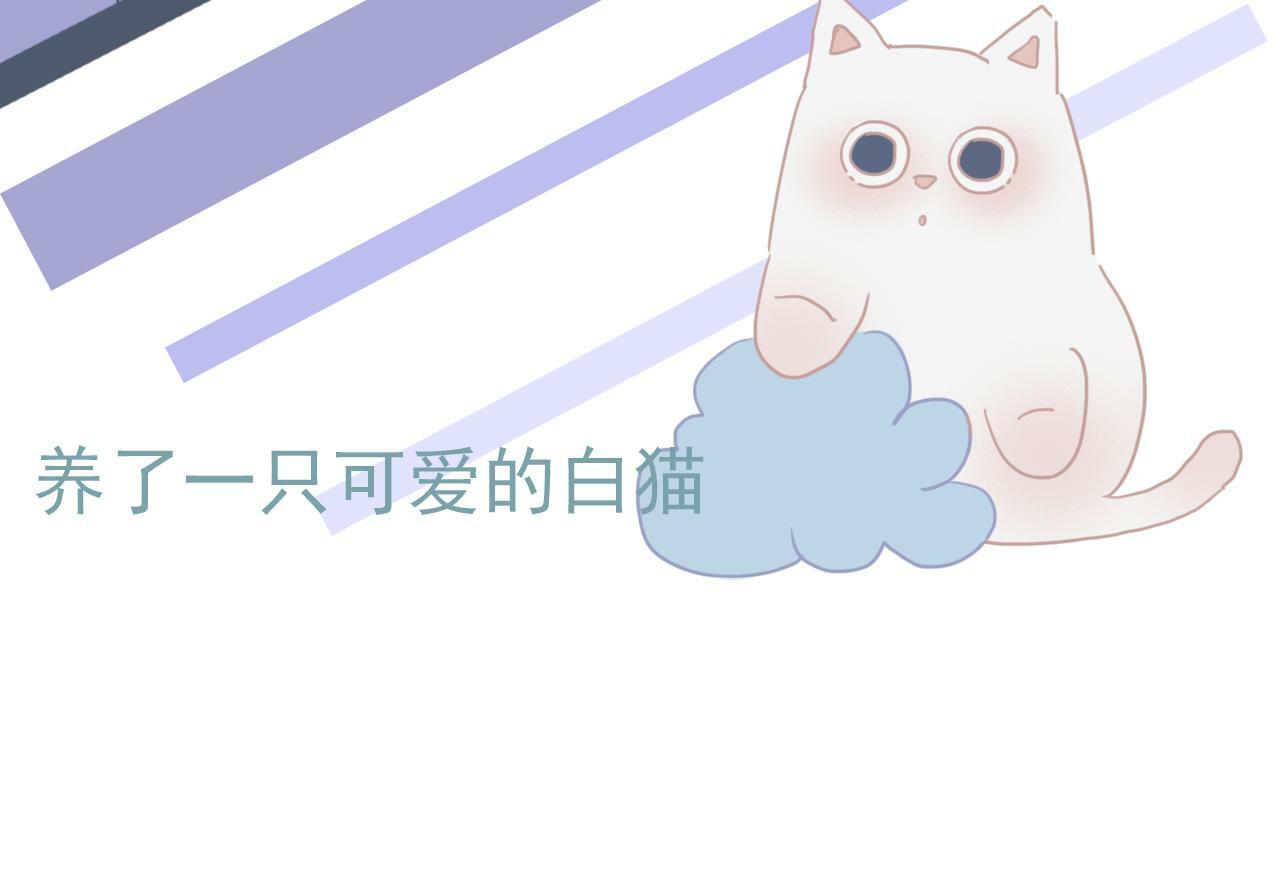 樱花札记漫画简介漫画,人物档案1图