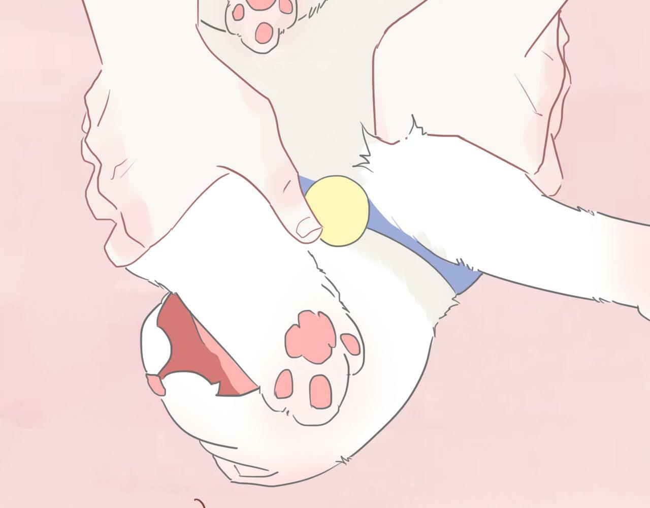 樱花札记漫画简介漫画,第八话 地下吸猫现场1图