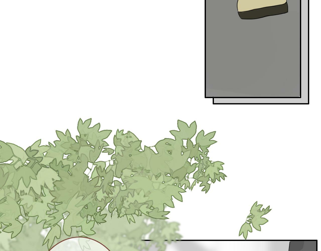 樱花札记漫画简介漫画,第八话 地下吸猫现场2图