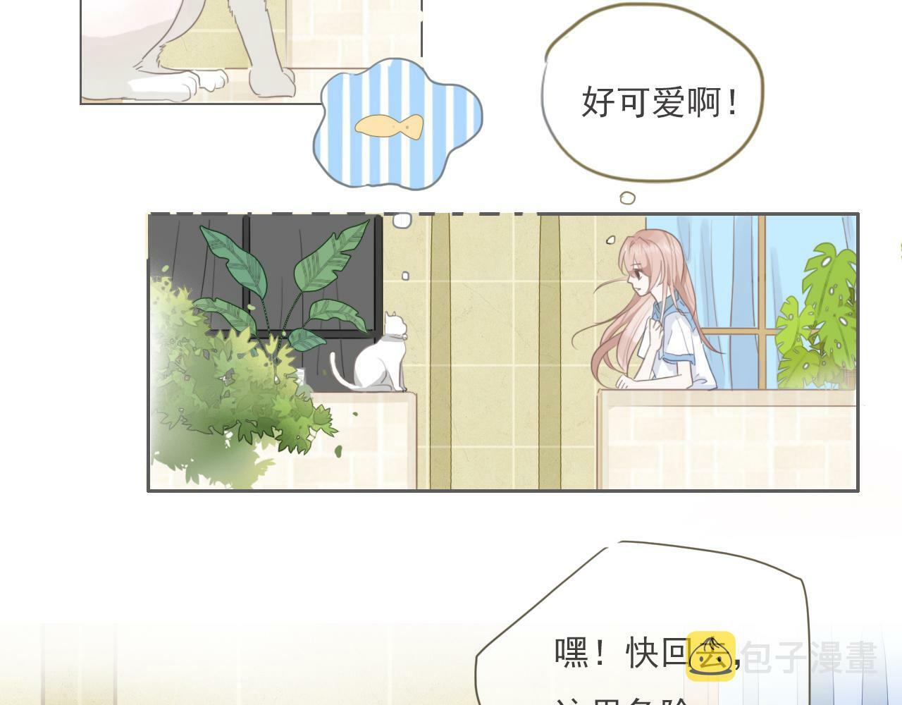 樱花札记漫画简介漫画,第二话  猫出没1图