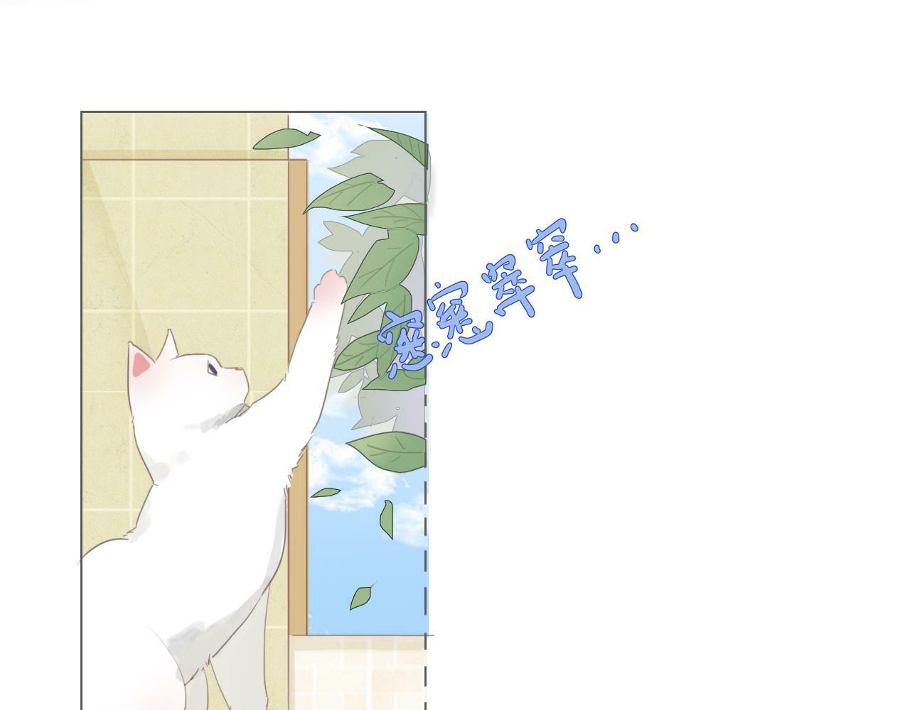樱花札记漫画简介漫画,第二话  猫出没2图