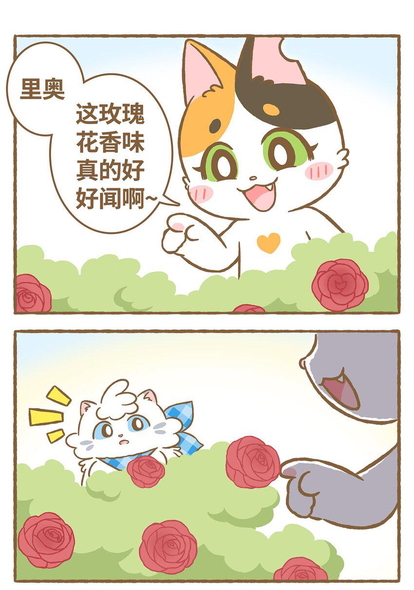 爱上我的小可爱漫画,26 第26话2图