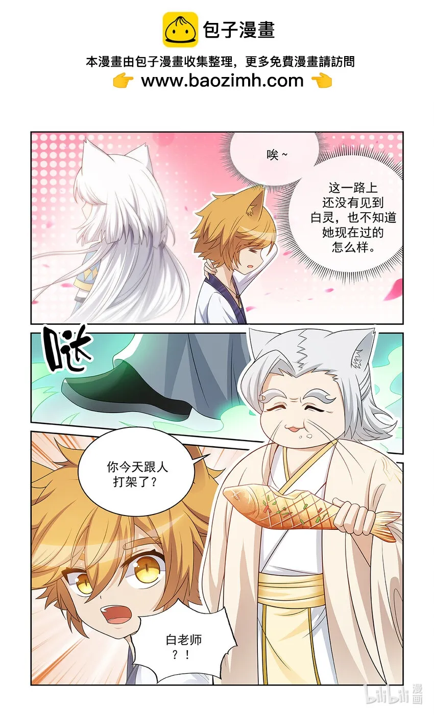 猫小九历险记漫画,第028话 猫元师兄？2图