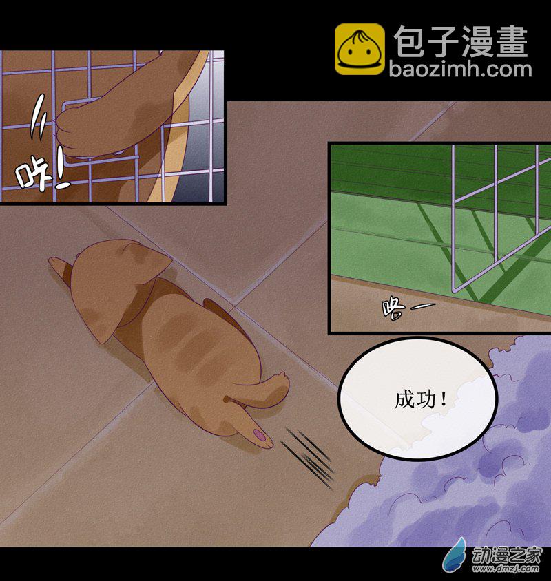 猫里奥3d漫画,01 药水1图