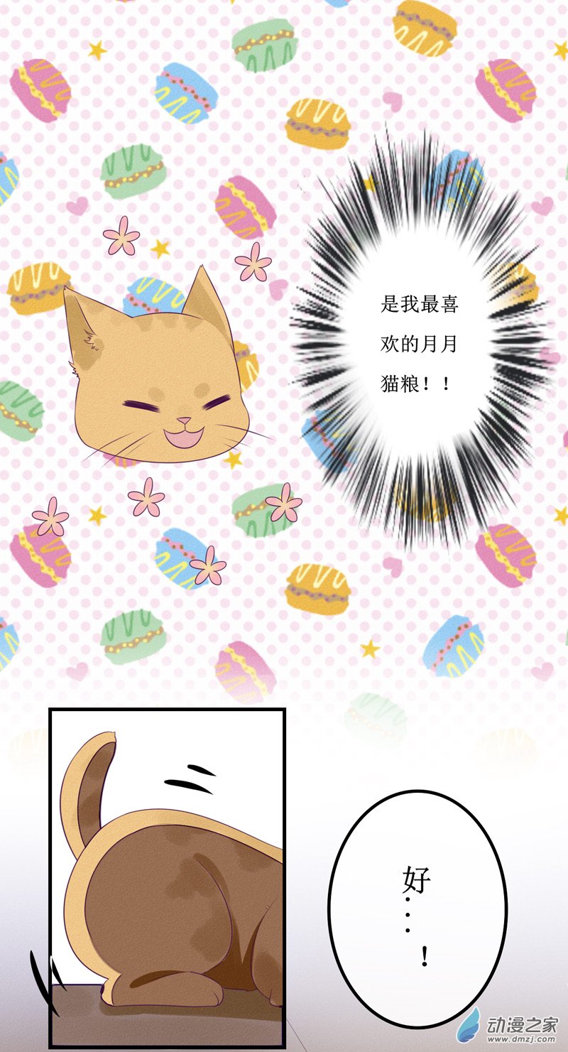 猫里爱读书漫画,01 药水1图