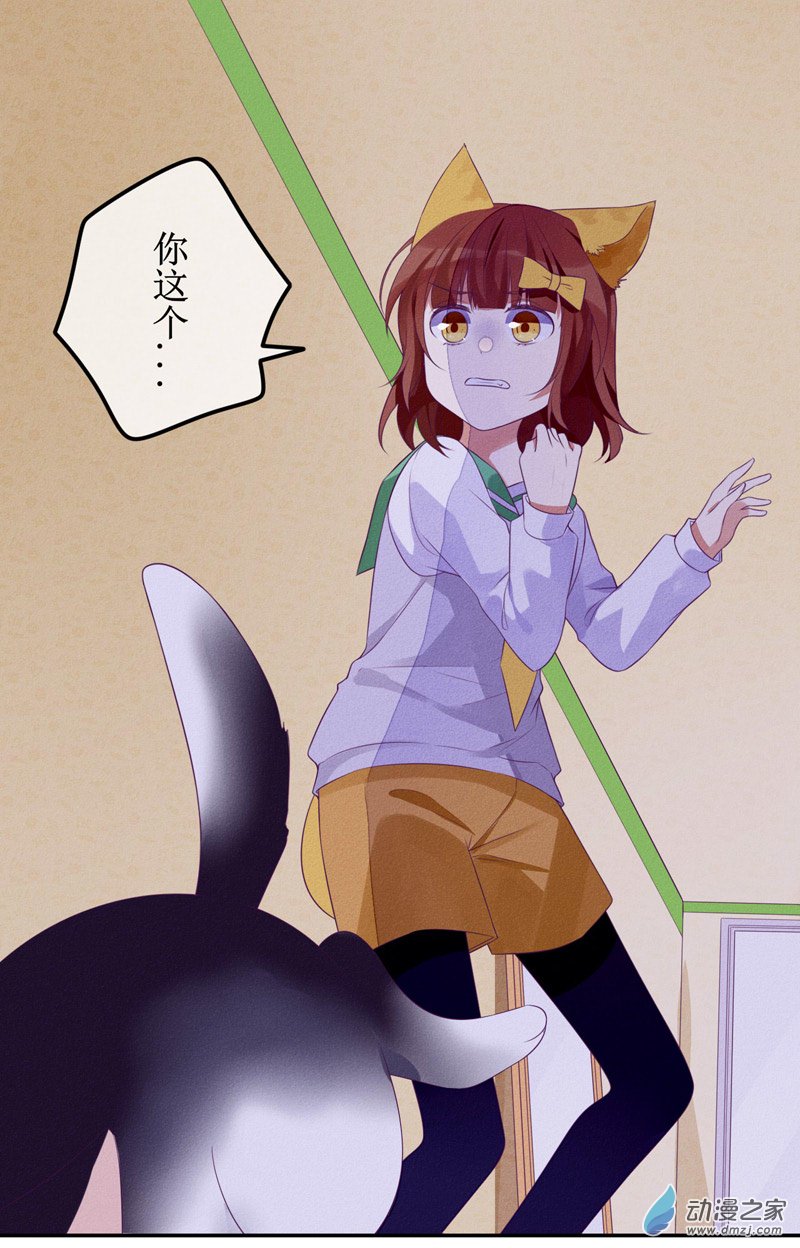 猫里狗气漫画,02 教训1图