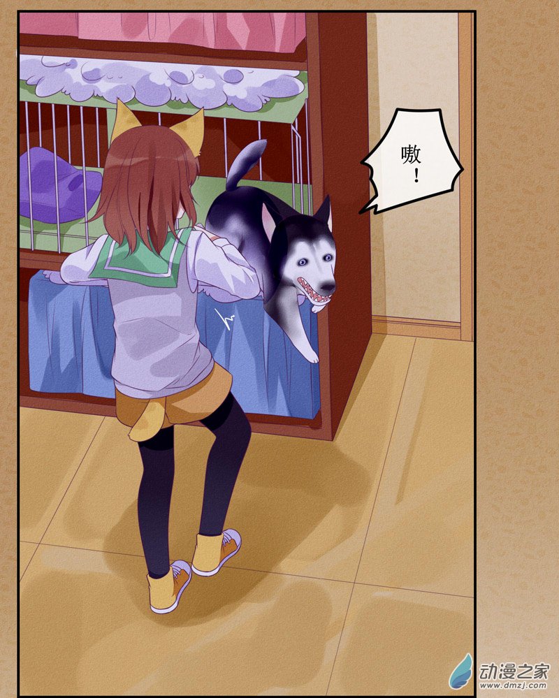 猫里狗气漫画,02 教训2图