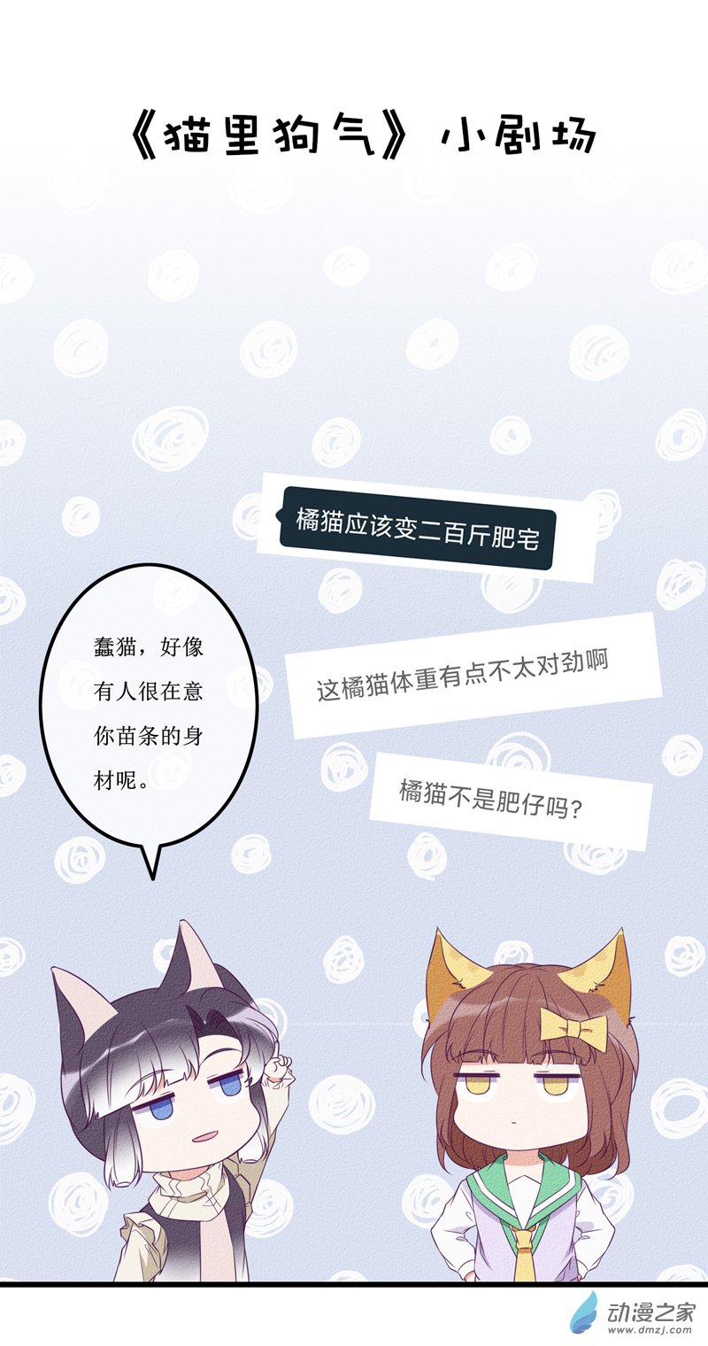 猫里奥3d版漫画,小剧场021图