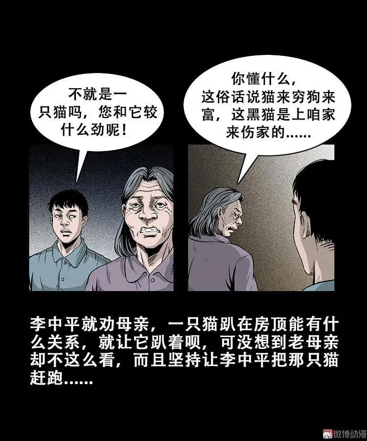 三老爷诡事会老烟鬼片段漫画,黑猫2图