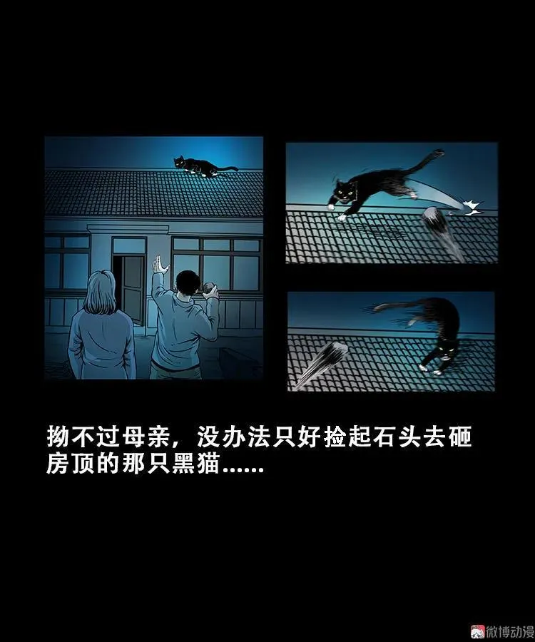 三老爷诡事会老烟鬼片段漫画,黑猫2图