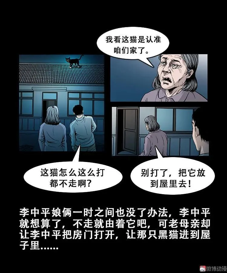 三老爷诡事会老烟鬼片段漫画,黑猫2图