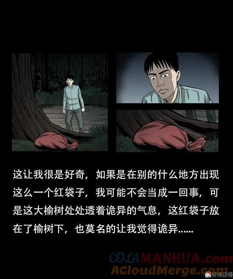 三老爷诡事会在线阅读漫画,红布袋1图